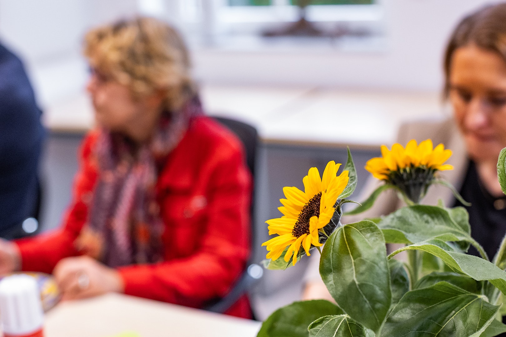 Sonnenblumen im Vordergrund, mitfühlende Gespräche im Hintergrund, symbolisieren Hoffnung und Trost im häuslichen Umfeld